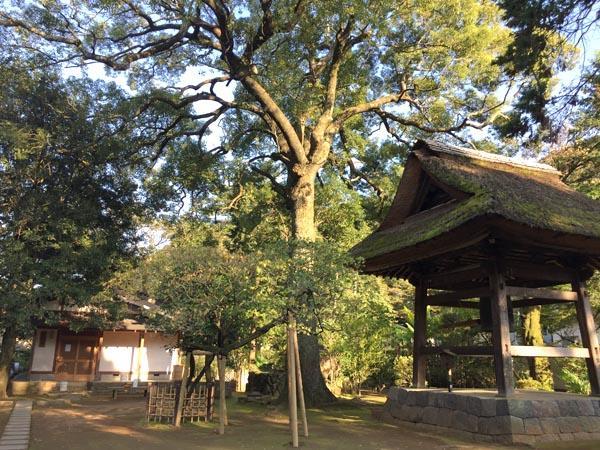 Masutomi Ryokan Hakone Exterior photo