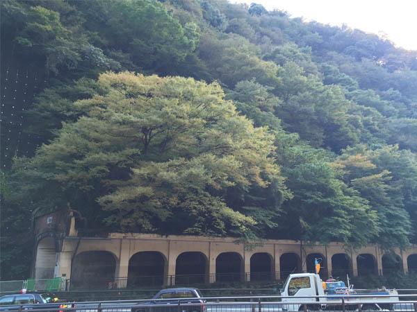 Masutomi Ryokan Hakone Exterior photo